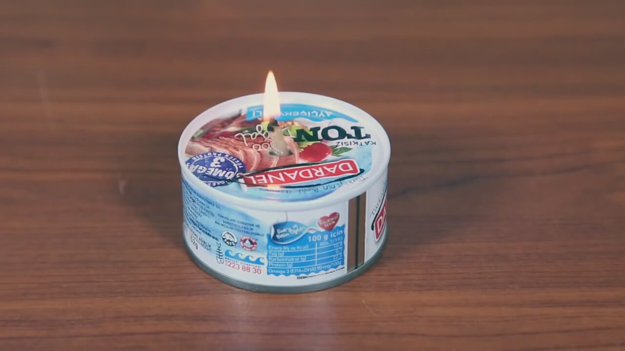 Ton Balığı Hangi Balıktan Yapılır Ton Balığı Hangi Balıktan Yapılır
