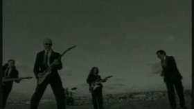 Ayna - Gelincik Ayna - Gelincik