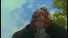 Ayna - Gittiğin Yağmurla Gel