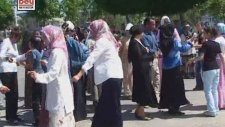 Akkuşlu Metin - Cimcime