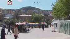 Safiye Kayıkçı - Mavilim