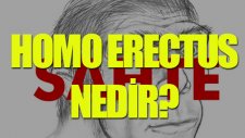 Homo Erectus Nedir? - Tek Cümlede Evrim