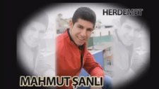 Mahmut Şanlı - Her Demet