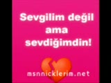 beyaz gülüm