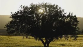 Sabahat Akkiraz - Geç Kaldın Sabahat Akkiraz - Geç Kaldın