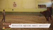 Binicilik Eğitimi Nasıl Verilir?