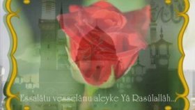Mehmet Emin Ay - Aşık Oldum Muhammed'e Mehmet Emin Ay - Aşık Oldum Muhammed'e