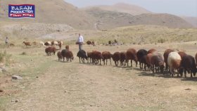 Sidar Beritan - Ehmedê İskan Sidar Beritan - Ehmedê İskan