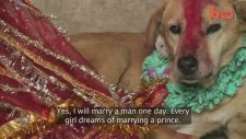Hindistan'da Köpekle Evlenmek