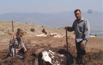Kışın saklanan yazın serinleten