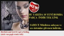 Herbick & Terri B - I Got A Feeling (niels Van Gogh Remix Edit) Yeni Bomba Parçalar 10 Tane Seçme