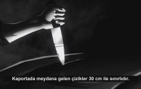 Anadolu Sigorta Gururla Sunar: Çizik Korkusu