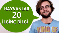 Hayvanlarla İlgili Oha Diyeceğiniz 20 Bilgi