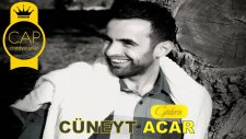 Cüneyt Acar - Aralarda