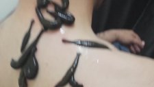 Suluk Tedavisi