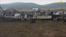 Köprülü Yaylası 2011 - 3 Bölüm Cane De Bılori