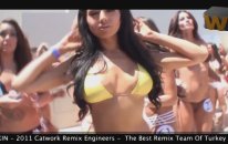 Catwork Remix Engineers & Far East Movement - Live My Life