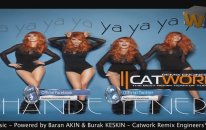 Hande Yener - Ya Ya Ya ( Catwork Remix Engineers 2013 )