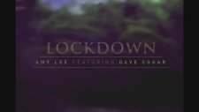 Amy Lee Ft. Dave Eggar - Lockdown