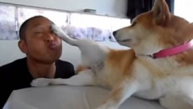 Sahibine Garezi Olan Köpek