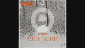 Wolfson - Some Sights (Original Mix)