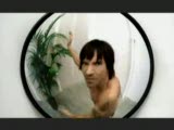 red hot chili peppers-cant stop-hq klip