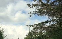Ofisten Timelapse!