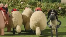 Shaun The Sheep The Four - The Magpie