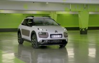 C4 Cactus Easy Push
