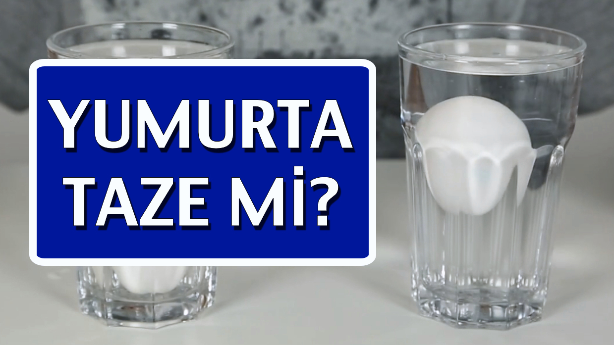 Bayat Yumurta Nasıl Anlaşılır Bayat Yumurta Nasıl Anlaşılır