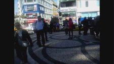 Kadiköy Modada Boğanın Hayranları