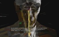 Half-Life 2 - Oynanış / Gameplay