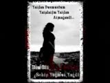 Altan Civelek Deniz G_ö_z_l_ü_m (Atın Beni)