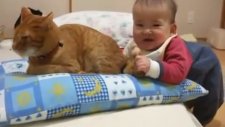 Kedinin Kuyruğunu Isıran Bebek