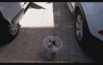 Kedi Asansörü