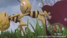 Arı Maya Bayan Ağaç Böceginin Yolculuğu