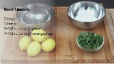 Naneli Limonata Tarifi
