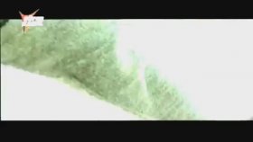 Mahsun Kırmızıgül - Bebeğim Benim Mahsun Kırmızıgül - Bebeğim Benim