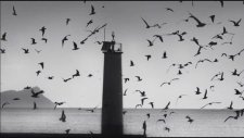 The Cinematic Orchestra - Arrival Of The Birds (Enstrümantal)