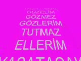dj ateş crazy ahmetcan