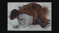 Evlerden Uzak En Kötü 20 Köpek