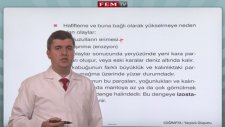 Fem Tv-Yerin Şekillenmesi & Dış Kuvvetler & İç Kuvvetler 1