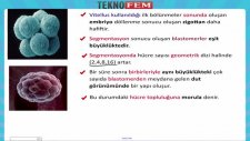 Üreme Büyüme Ve Gelişme 1