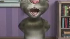 Kedi Alkol Aldım Sallanıyorum
