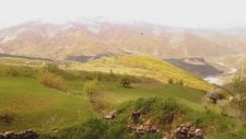 Sidar Beritan - Naye Naye