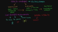 Benlik Kavramı, Öz Kimlik, Ve Sosyal Kimlik