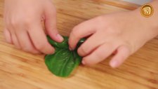 Pazı Dolması Tarifi