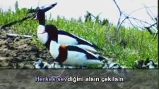 Gesi Bağları - Karaoke