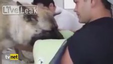 Dünyayı Ağlatan Görüntü