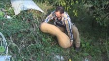 Plastik Bardağa Ekilen Balkabağı 50 Kg Oldu